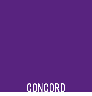 Configurator Paint Sample - SOLIDS