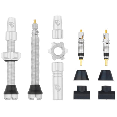 Tubeless Presta Valve Stem Kit